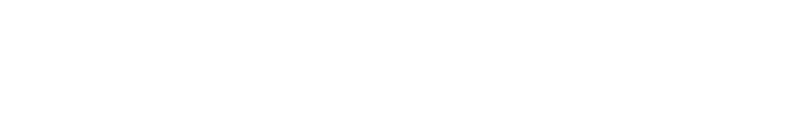 Wefone Logo